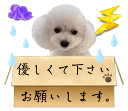 720980926