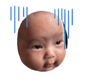 720981647