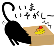 721001505