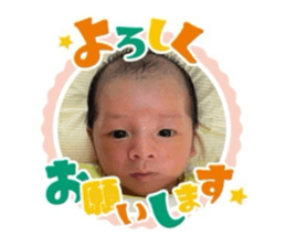 721033732