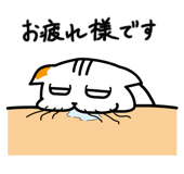 721053593