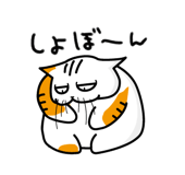 721053597