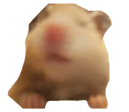 721067998