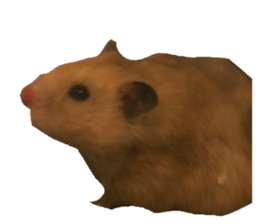 721067999
