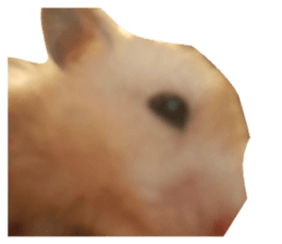 721068000