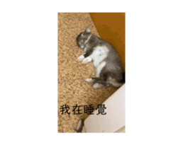 721069074
