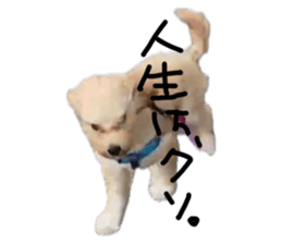 721152237