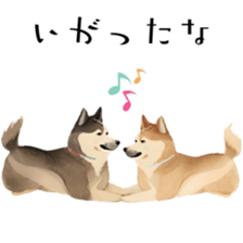 721233823