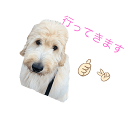 721259010