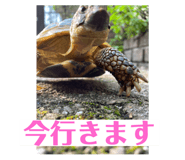 721342252