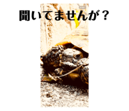 721342253