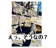 721342254