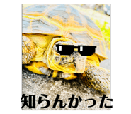 721342255