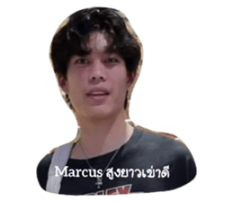 721354426