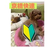 721445256
