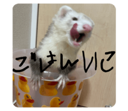 721456490