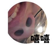 721507987