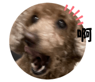 721508011