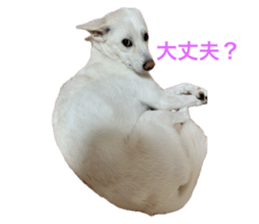 721509855