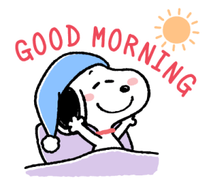 Snoopy มุ้งมิ้ง♪ ชีวิตแฟนด้อม รูปที่ 12
