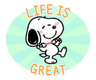Snoopy มุ้งมิ้ง♪ ชีวิตแฟนด้อม รูปที่ 13