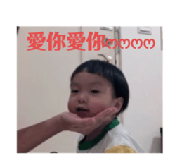 721532016