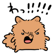 721532516