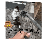 721563586