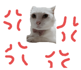 721568615