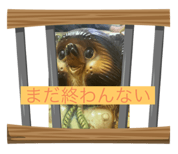 721596573