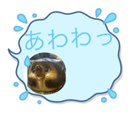 721596575