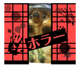721604437