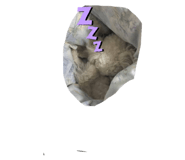 721619172