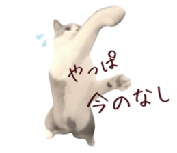 721653437