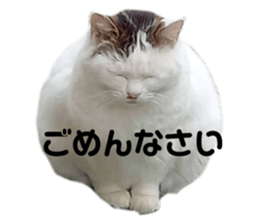721767207