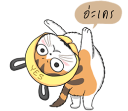 7217726