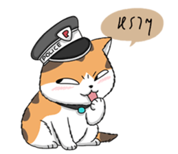 7217732
