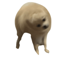 721845813