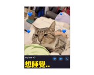 721855284