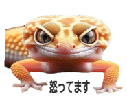 721872133