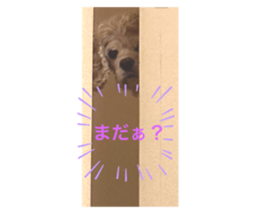721914914