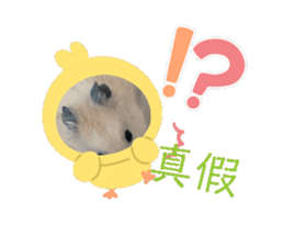 721942353