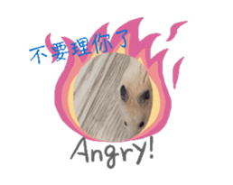 721942355