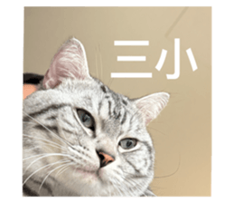 721963946