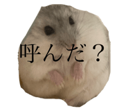 721977487