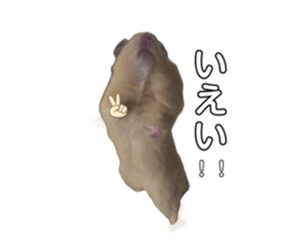 721977571