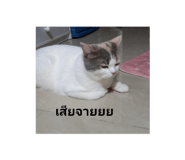 722003676