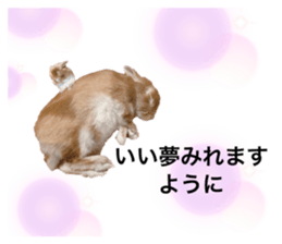 722008266