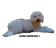 722019434