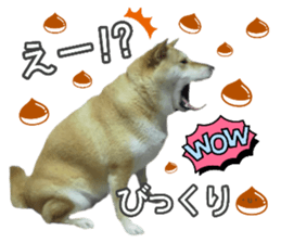 722020696
